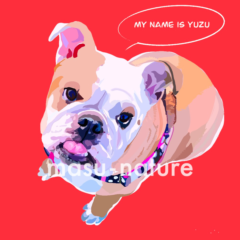 デジタルペットアート yuzu ユズちゃん masu-nature digital illustration 実績紹介　犬 dog イングリッシュトイプードル