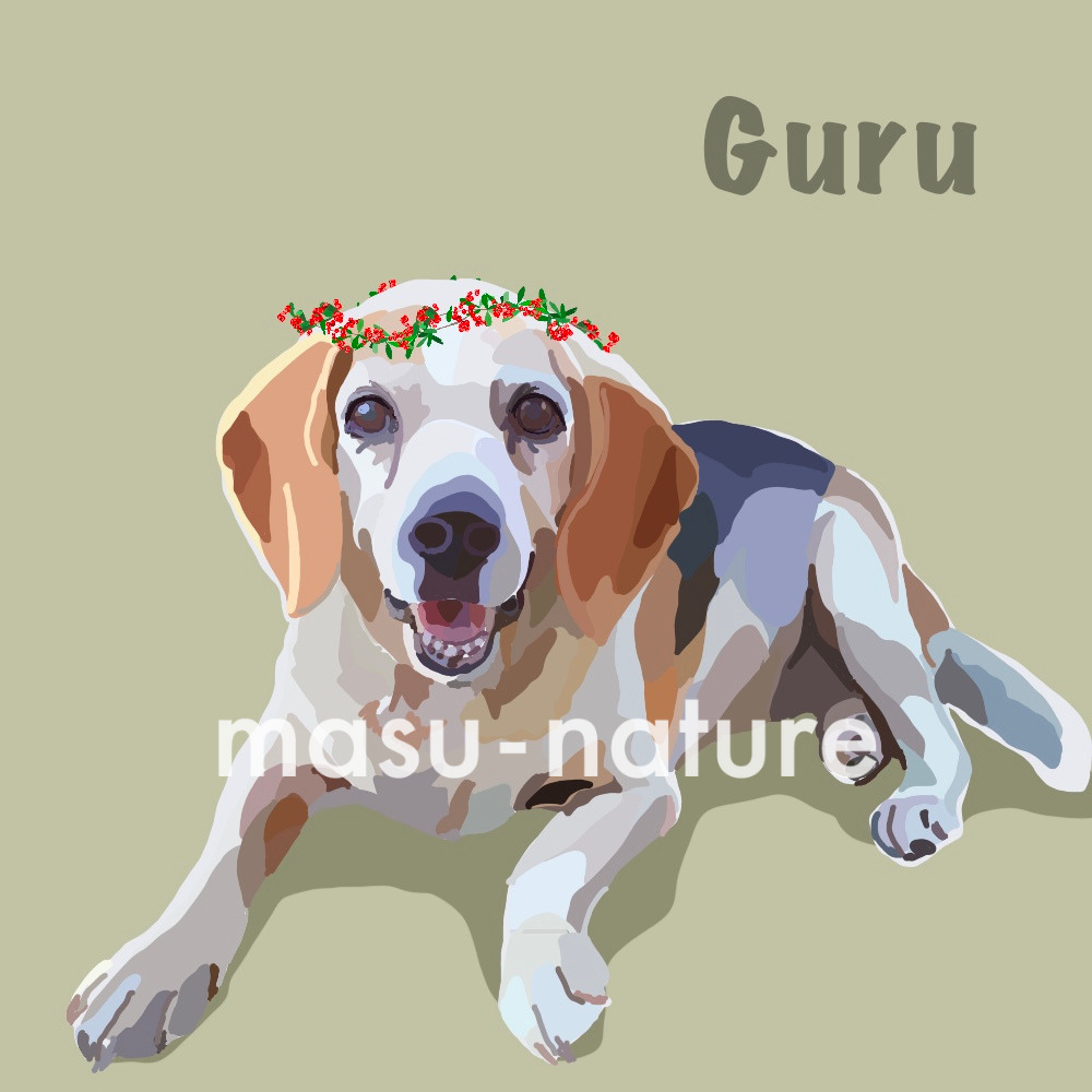 デジタルペットアート guru グル君 masu-nature digital illustration 実績紹介