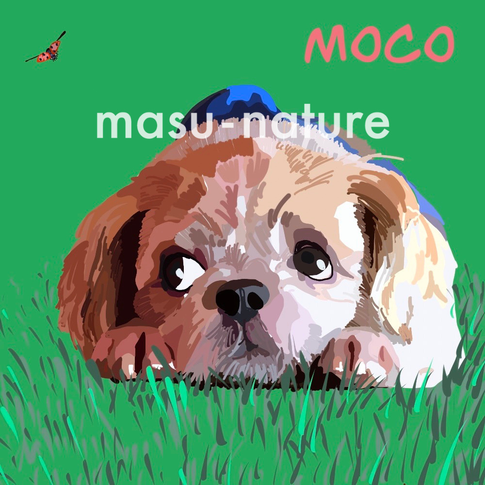 デジタルペットアート MOKO モコちゃん masu-nature digital illustration 実績紹介