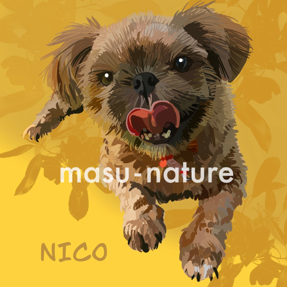 デジタルペットアート NICO ニコちゃん masu-nature digital illustration 実績紹介