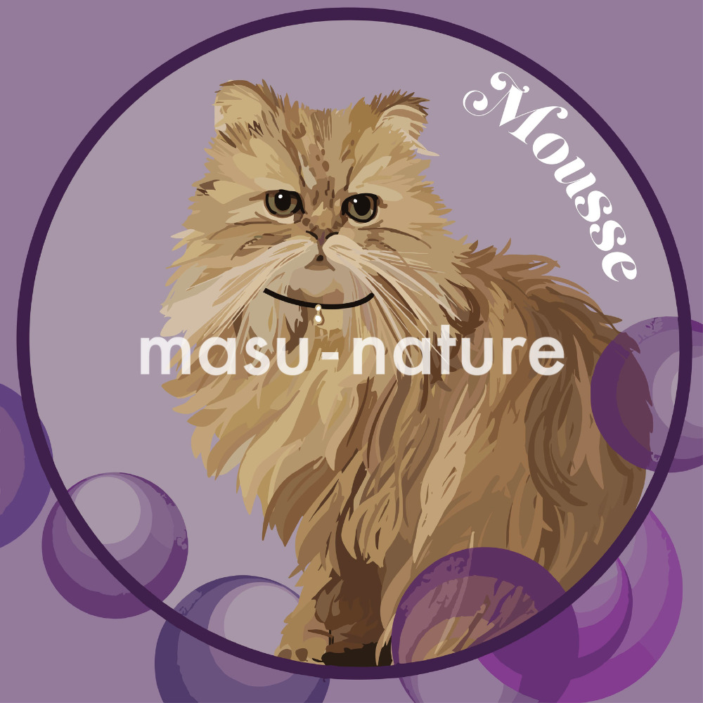 デジタルペットアート NICO ムース君 masu-nature digital pet illustration 実績紹介 cat 猫の画像