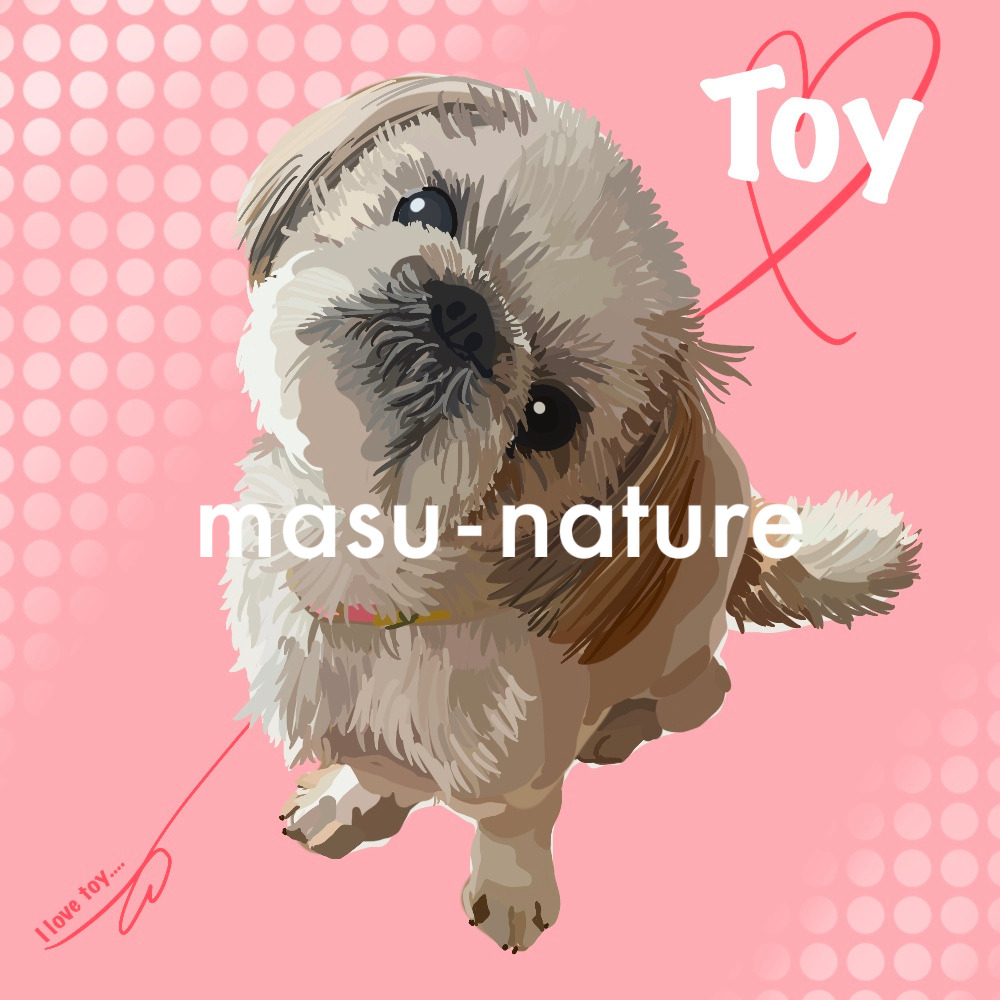 digital illustration dog toy masu-nature デジタルペットイラスト マスネイチャー digital pet art