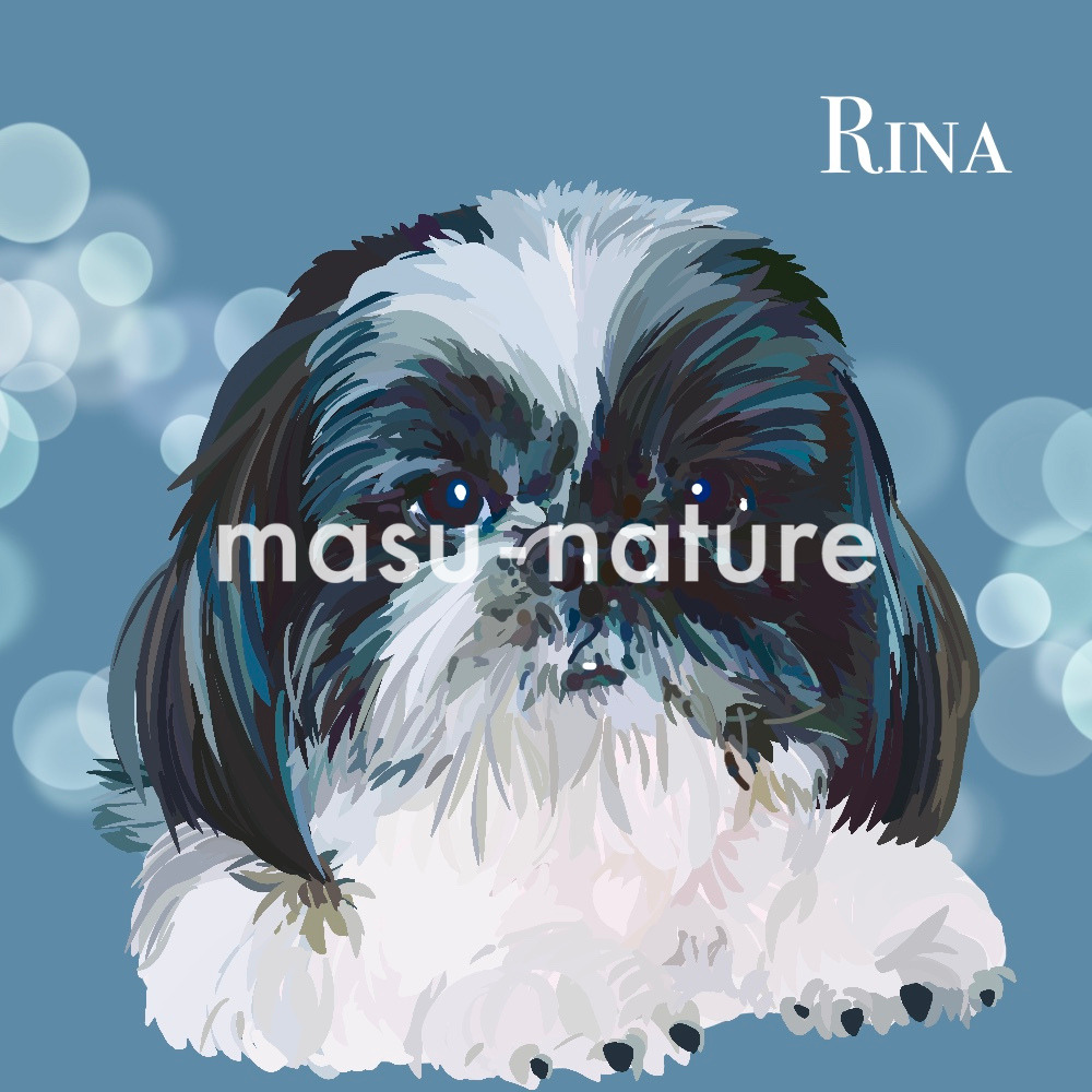 デジタルペットアート リナ masu-nature digital pet illustration シーズー 実績紹介 犬の画像