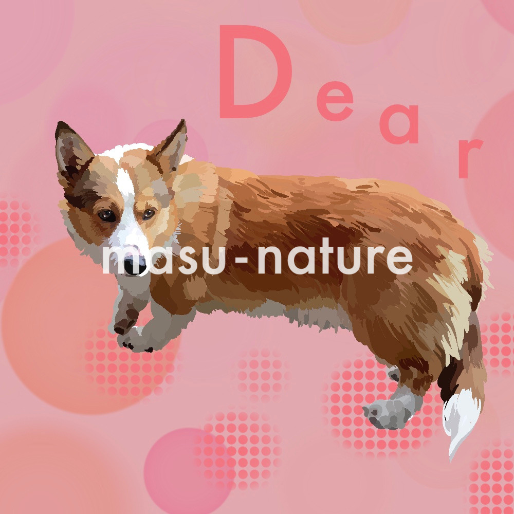 デジタルペットアート Dear君 masu-nature digital pet illustration 実績紹介 コーギーの画像