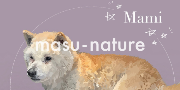 デジタルペットイラスト　マミちゃん　柴犬 masu-nature digital pet illustration 実績紹介のサムネイル画像